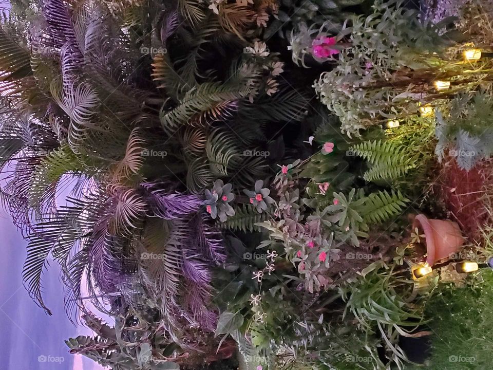 sunset after the rain in my secret garden