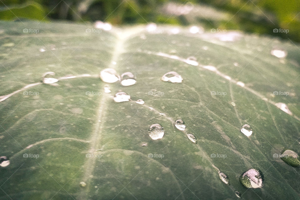 beautiful water drop amazing view