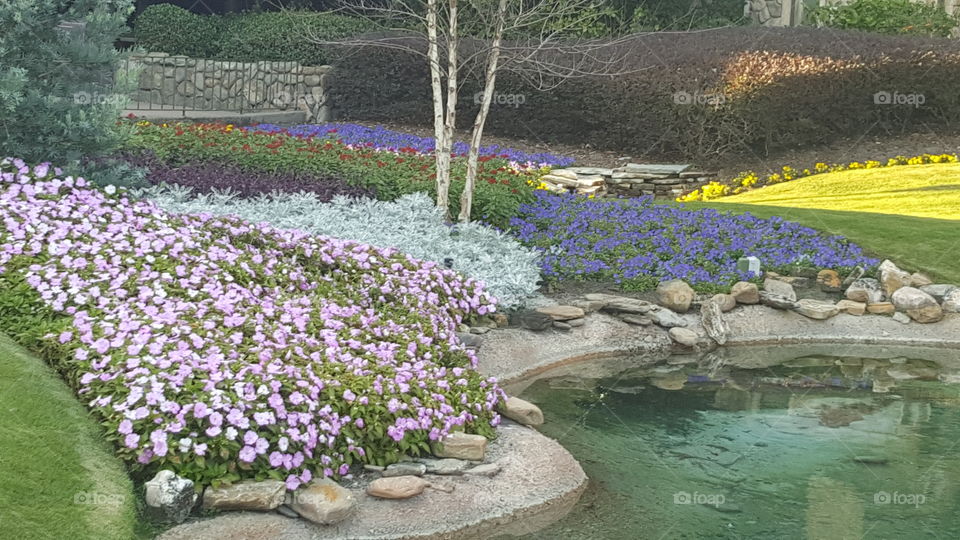 Bright cooled flowers stretch as far as the eye can see at the EPCOT International Flower & Garden Festival.