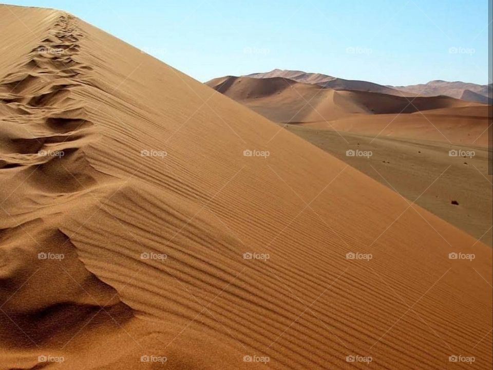 sahara ouarzazate morroco