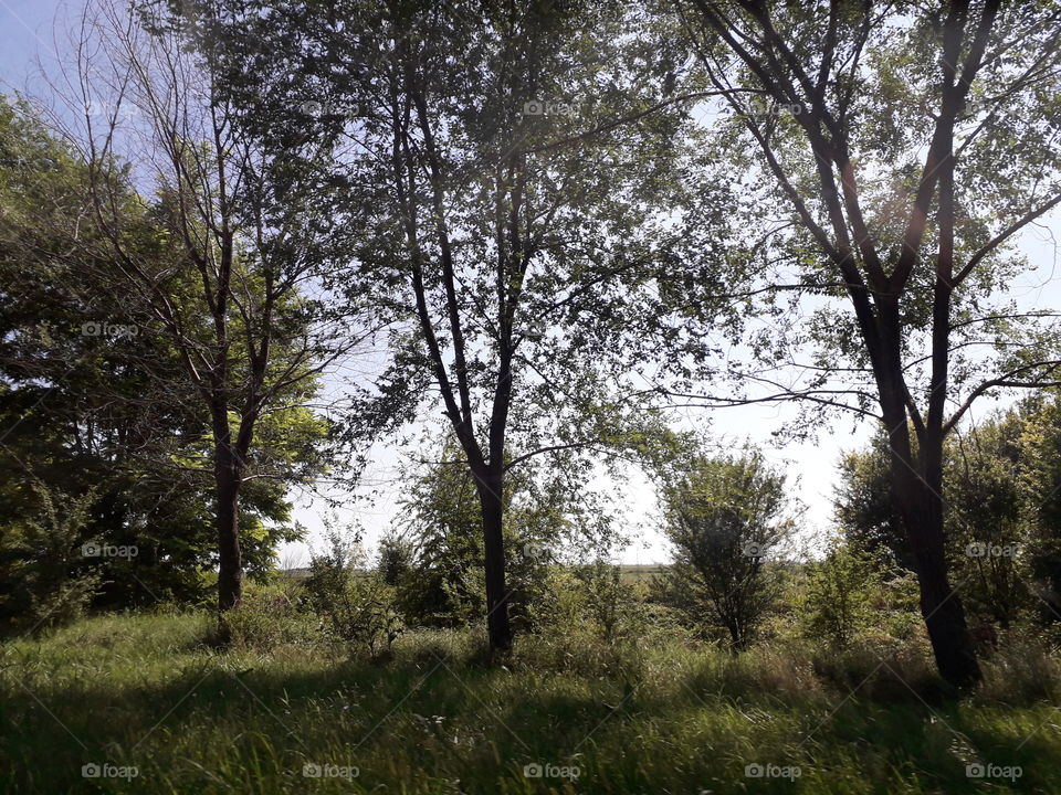 A few days ago, I went Sombor :) It's a cute city, but Novi Sad is still the most beautiful in the world❤