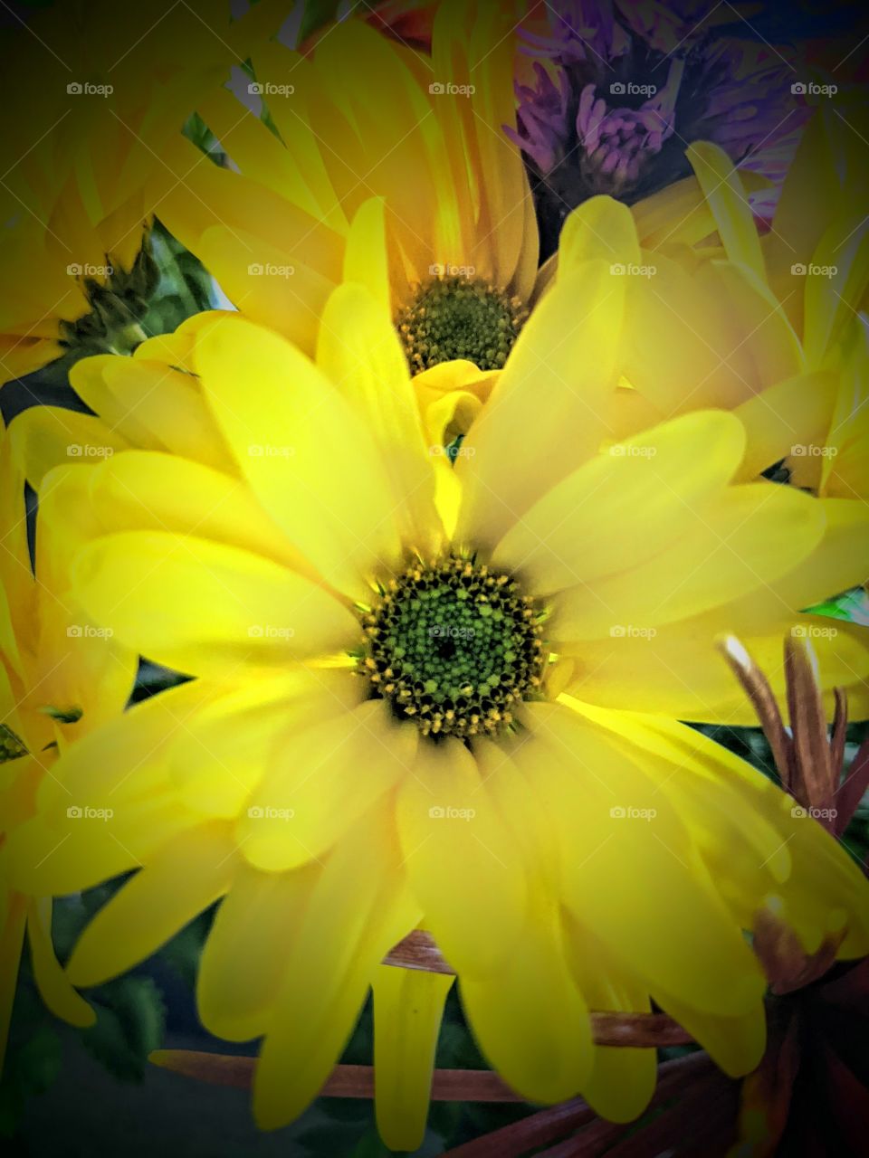 pretty yellow flower
