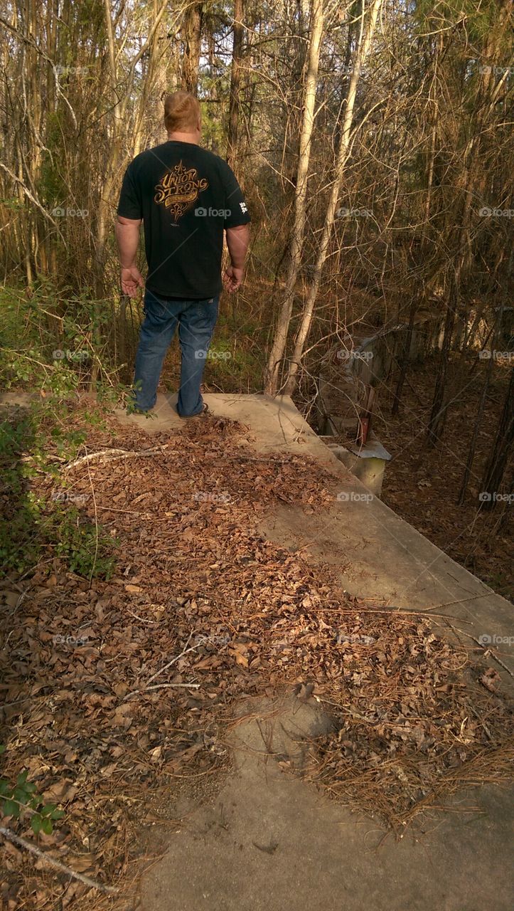 People, Tree, Wood, Environment, One