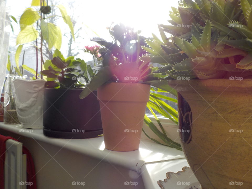 All in line for the sunshine  