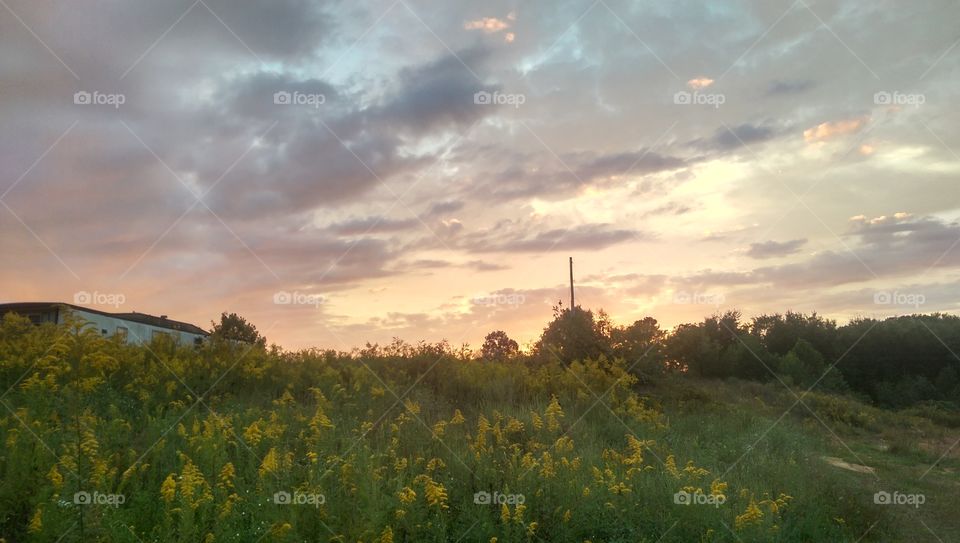 No Person, Landscape, Sky, Agriculture, Outdoors