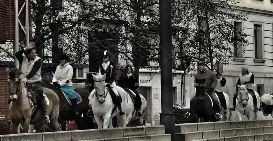 caballos en la ciudad