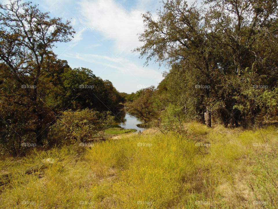 secret fishing 🎣 spot. This is a picture of the Brazos river.