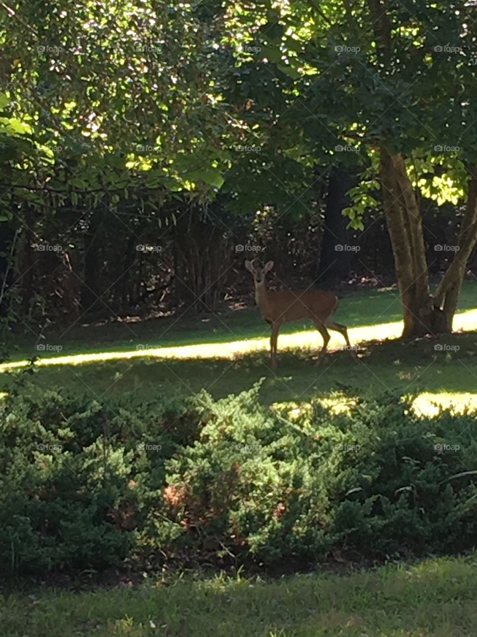 Well hello whatcha looking at? I’m just snacking here for a minute then I’ll be on my way.