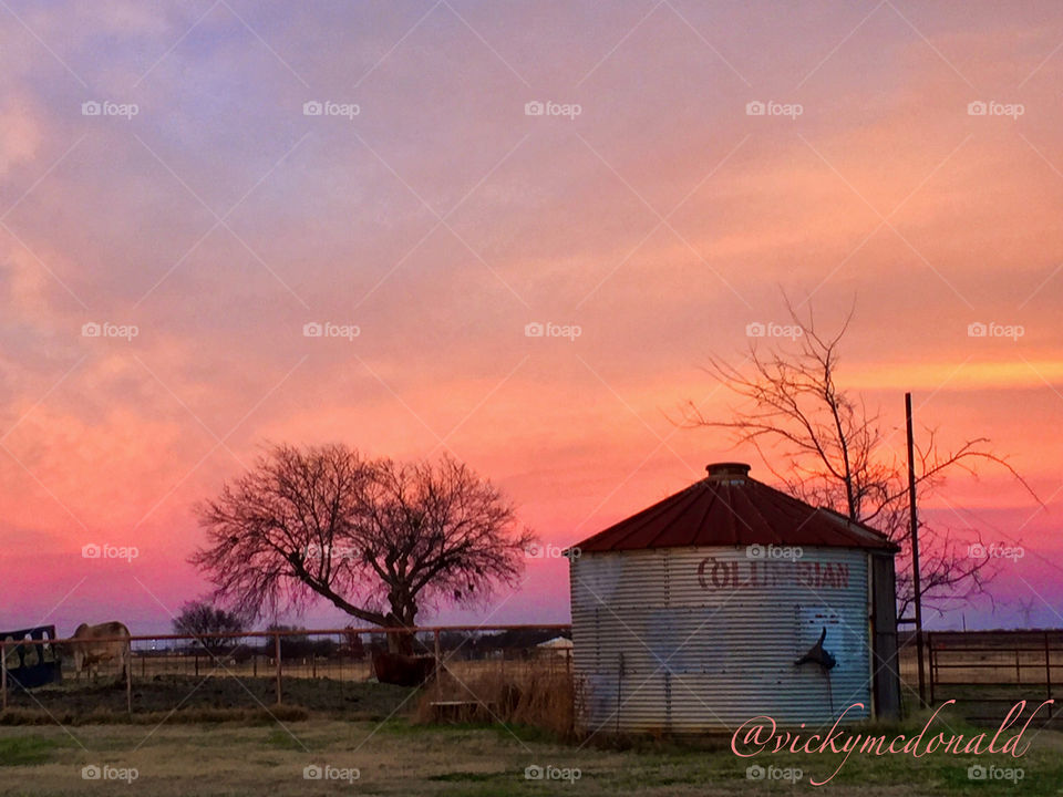 Pink sunrise in rural Texas. 
