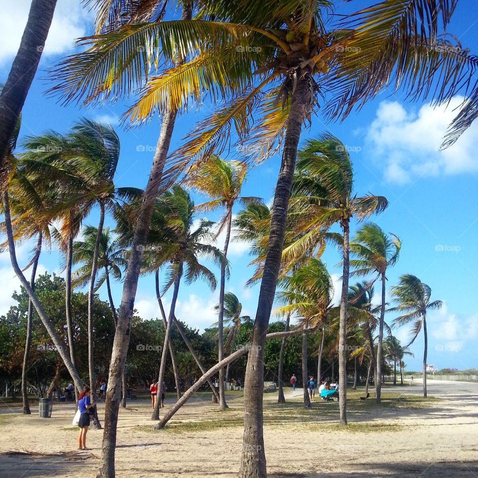 Miami beach