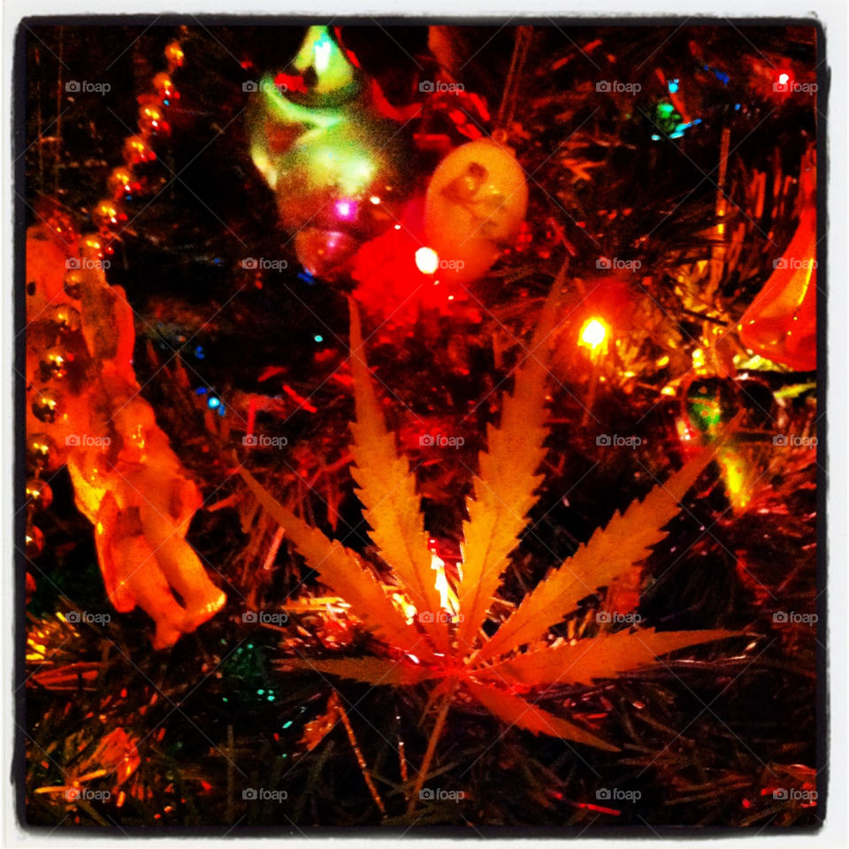 Christmas with Mary Jane.