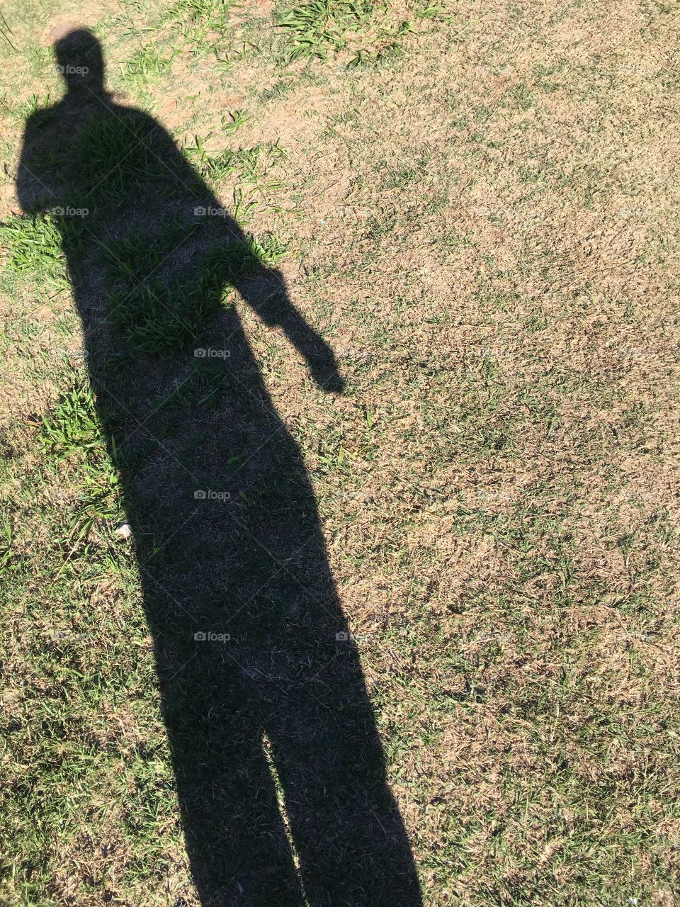 E vou pendendo pela grama. Pra lá... pra cá. Minha sombra mostra que pelo menos eu emagreci um pouco!