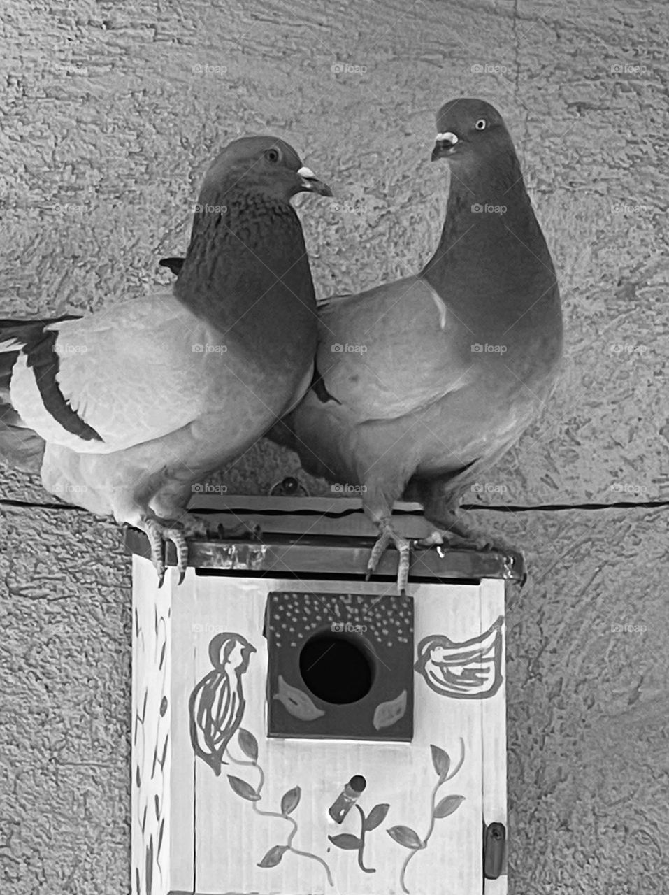 Love is in the Air and Beyond 