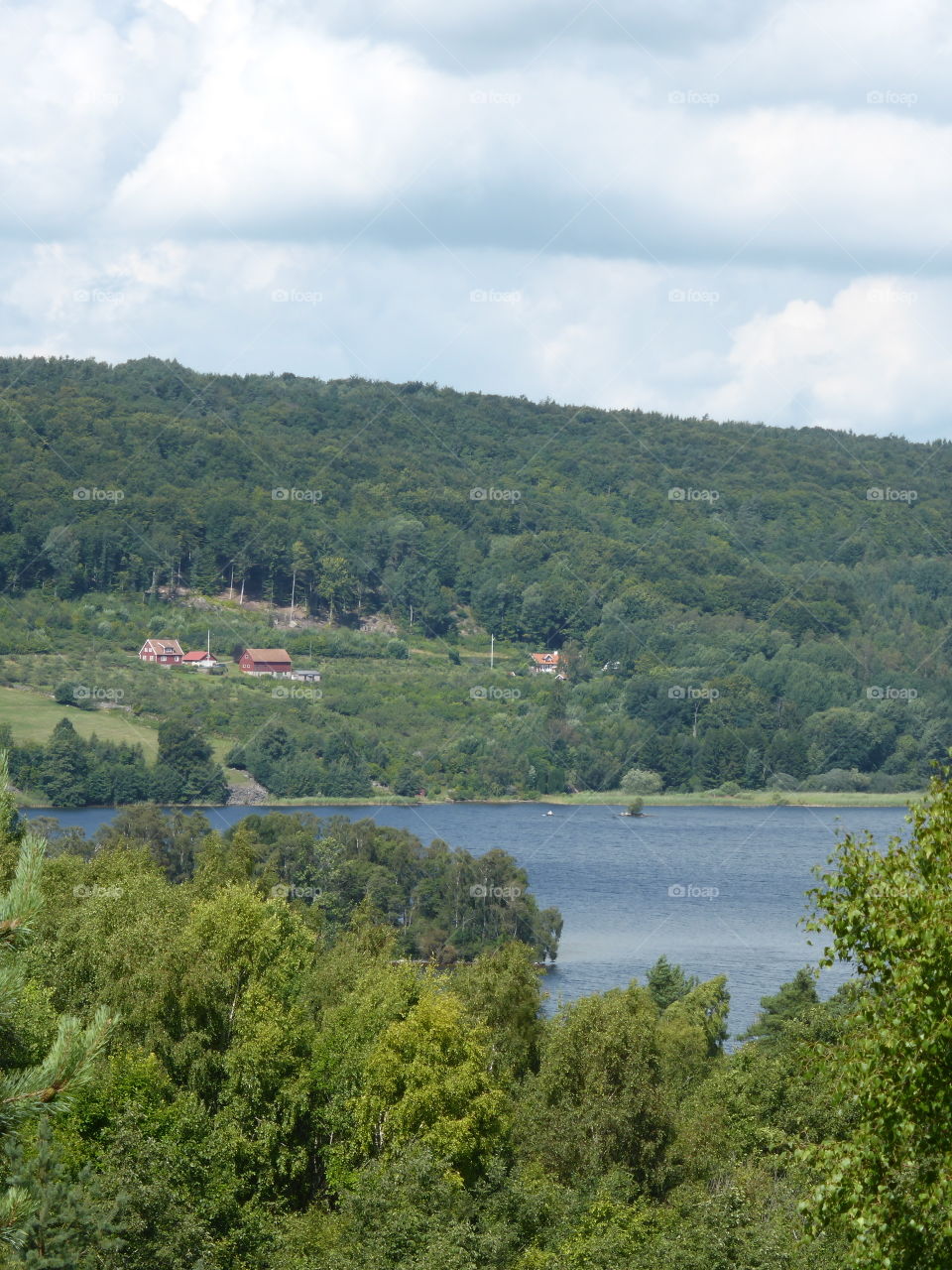 View over and from forest and lake in Sweden 