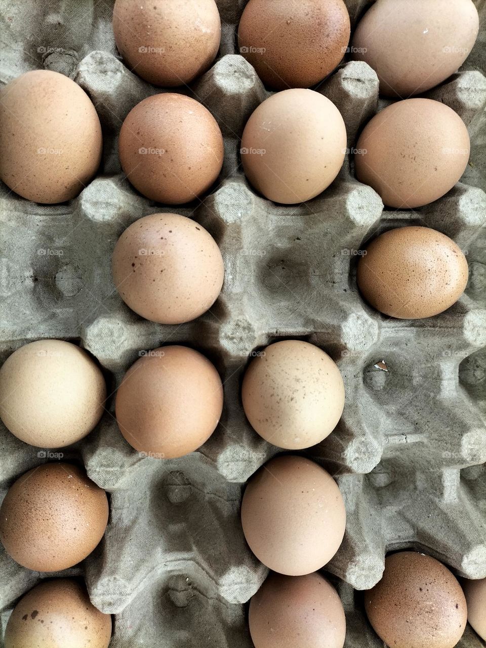 Abstract image of a chicken egg
