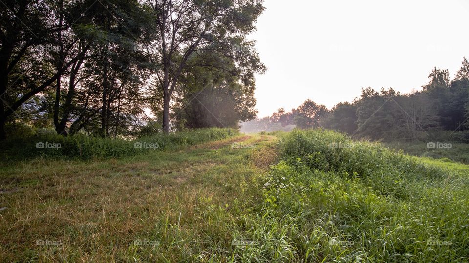 Milicz, Staw Słoneczny, Poland