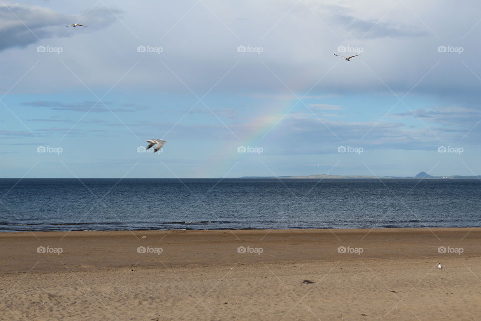 seaside rainbow