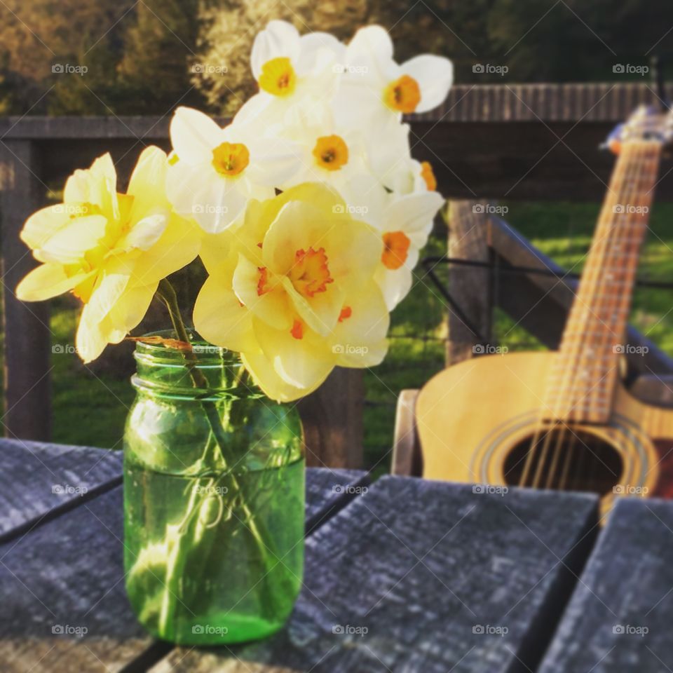 Daffodils and guitar