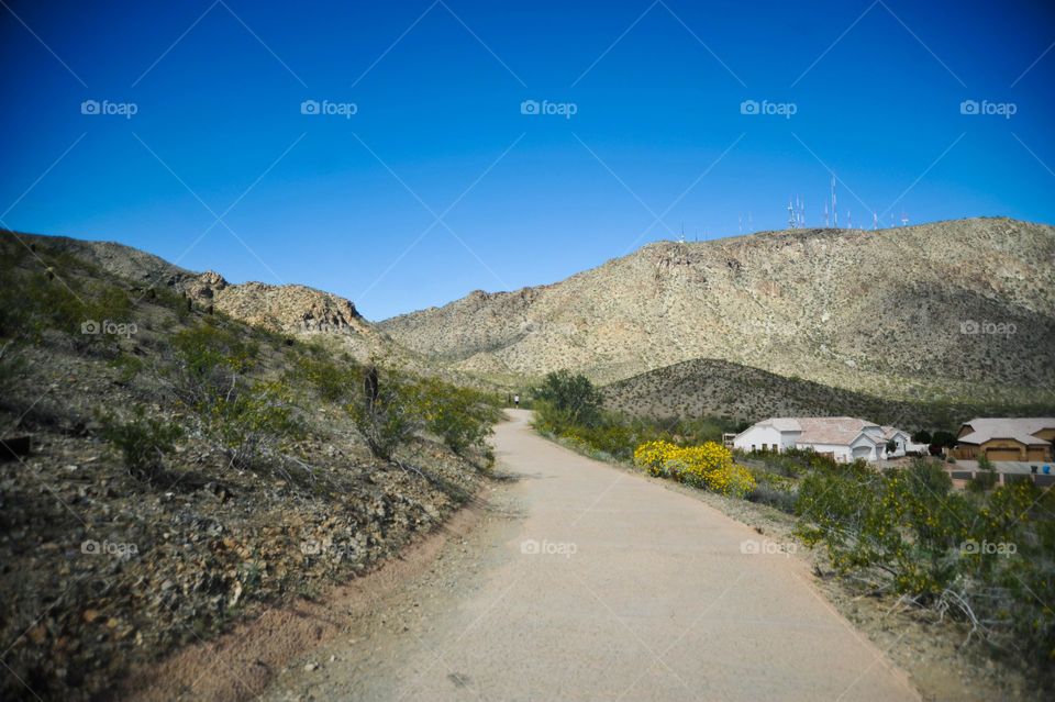 walking in the desert