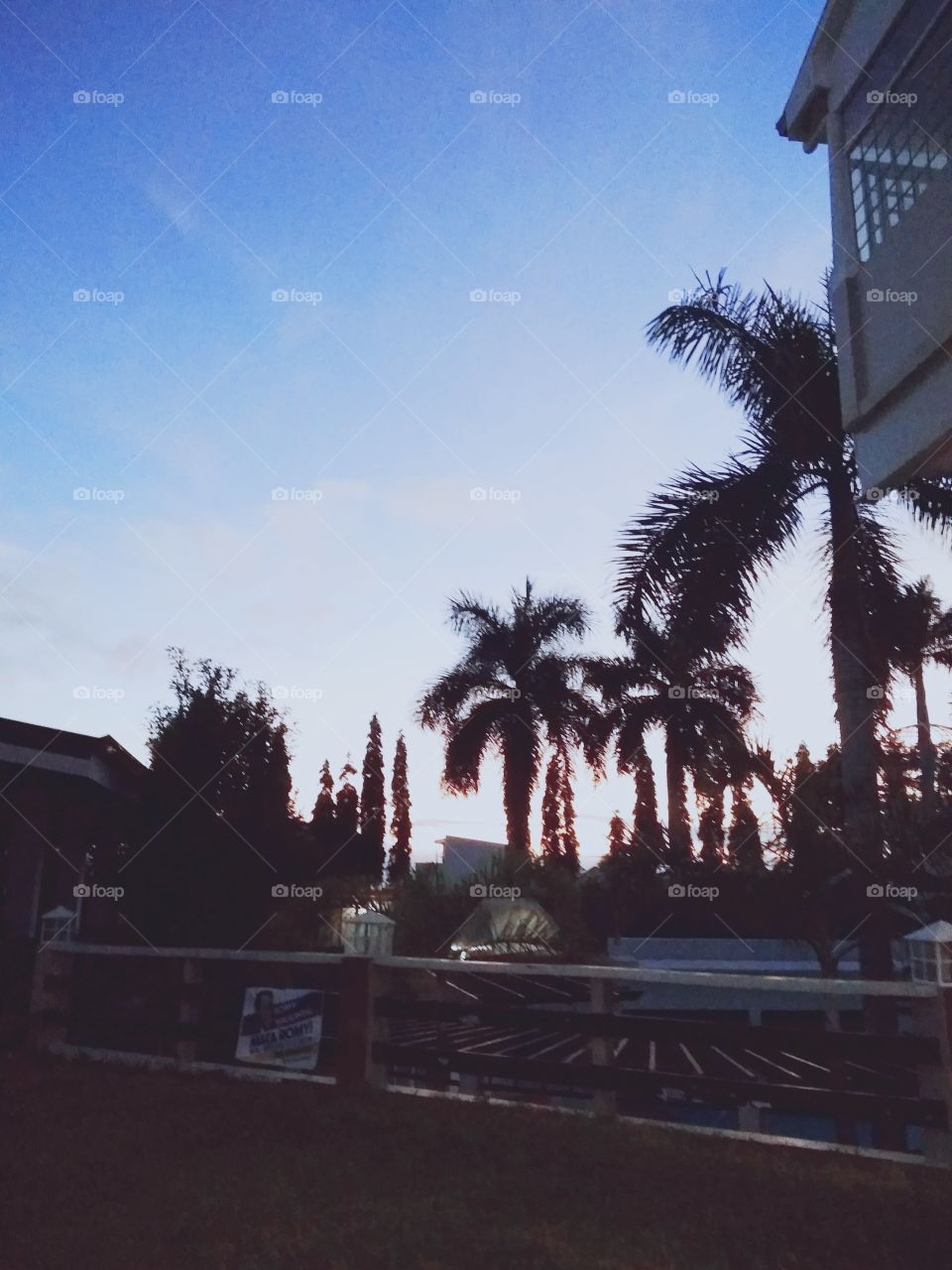 Sunset at Whitewoods Sta Rosa. 🌷🌄