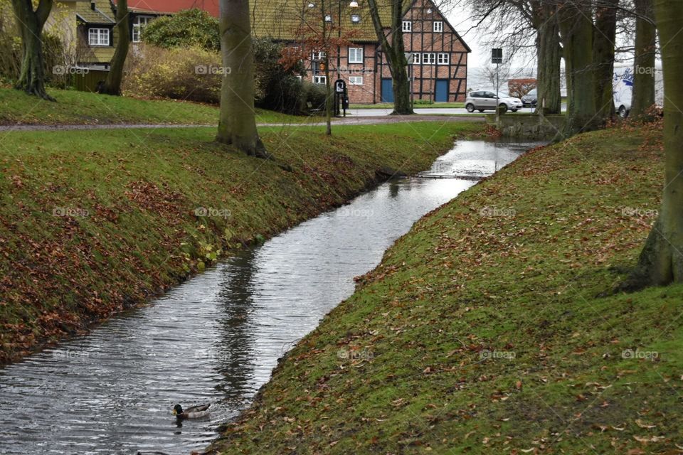 Water, No Person, River, Pool, Tree