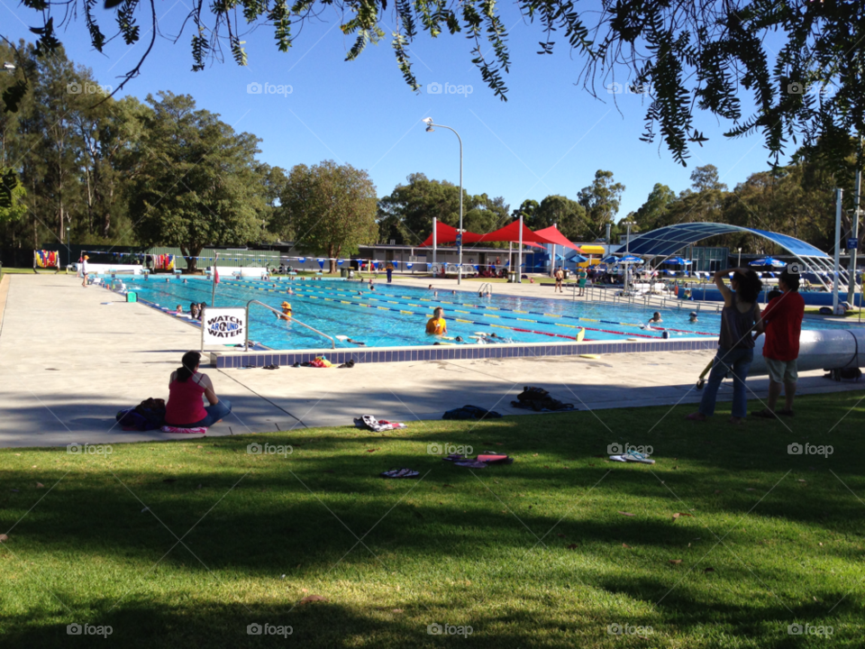 trees water pool swimming pool by kshapley