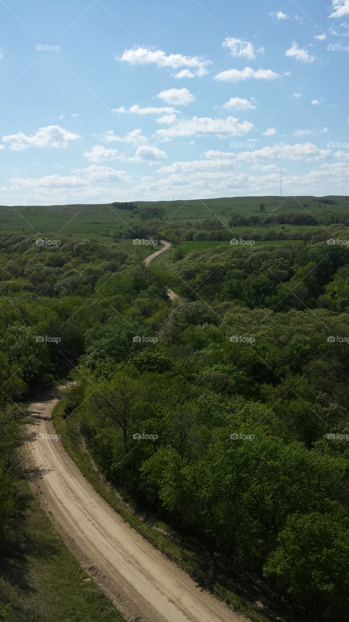 Woodsy Road. Road in the woods looking out from Nicollet Tower in SD.