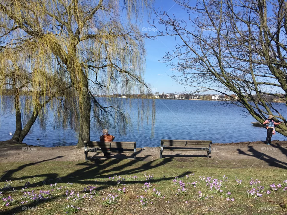 Spring 