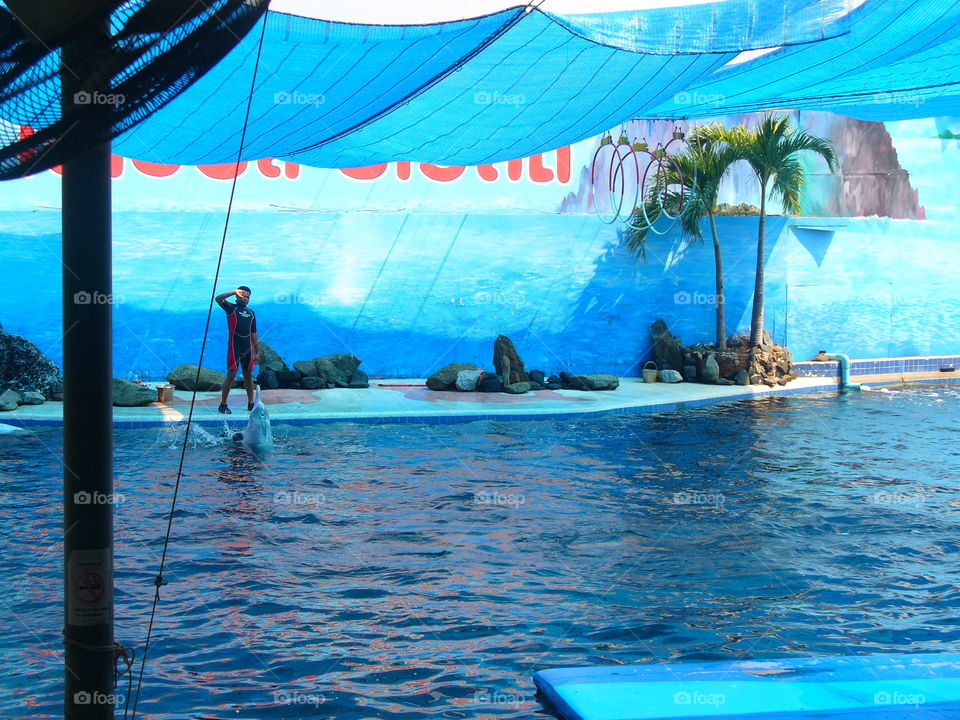 Water, Travel, Swimming, Tropical, Ocean