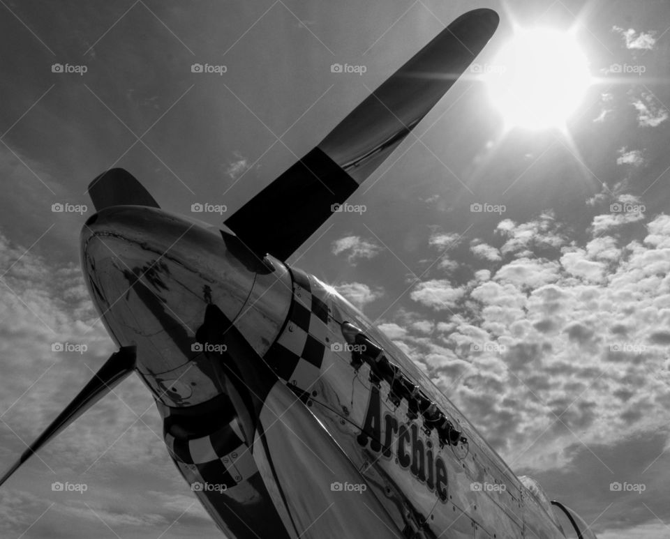Archie. The P-51 was an iconic fighter aircraft in its day. The photo shows the beauty and the power of this aircraft