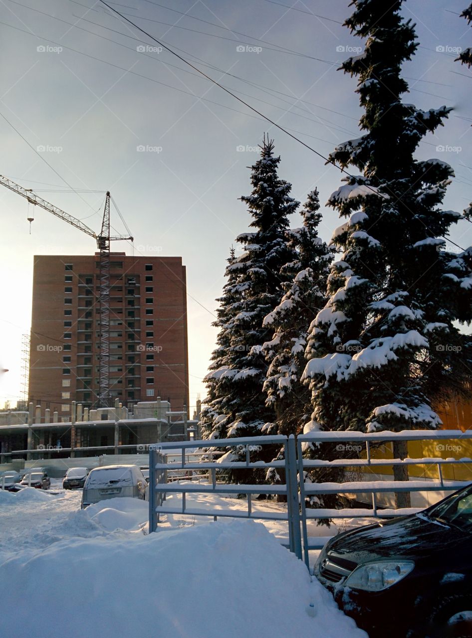 Snow, Winter, No Person, Landscape, Tree