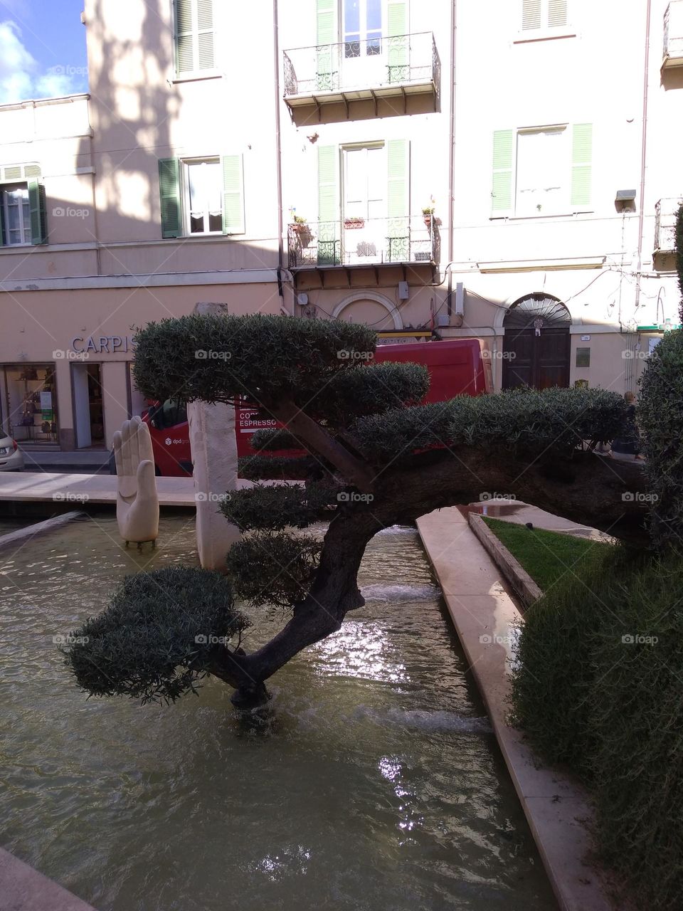 Best of 2021: Nature