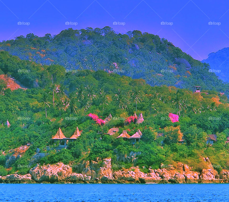 Bungalos in koh tao island