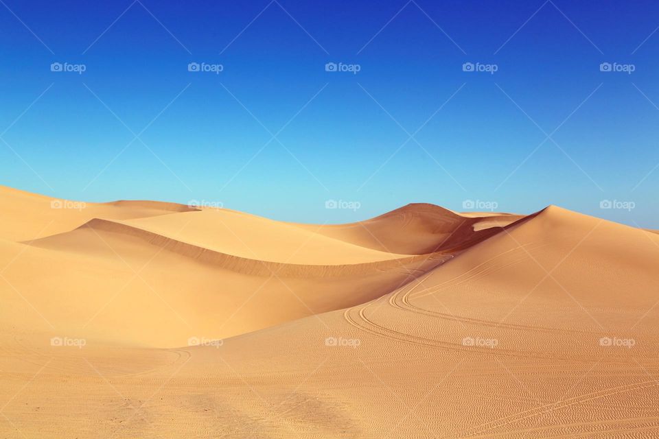 Perfect beautiful desert