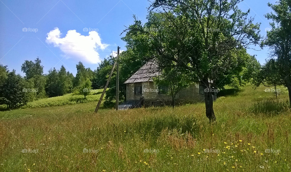very old house, trees and meadow
