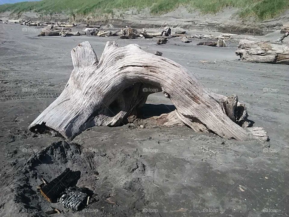 cool lookin stump