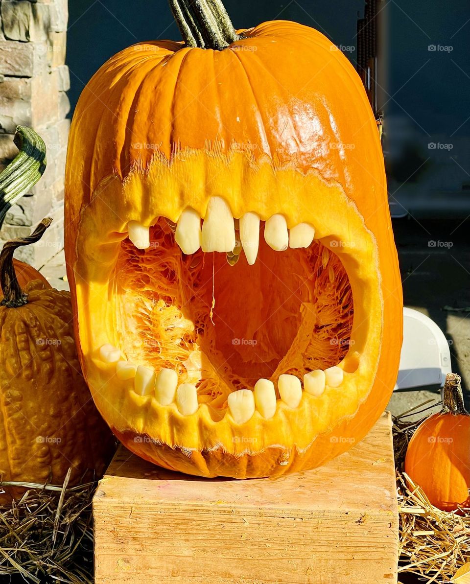 Hilarious Toothy grin. Creepy and, goofy looking carved pumpkin. 