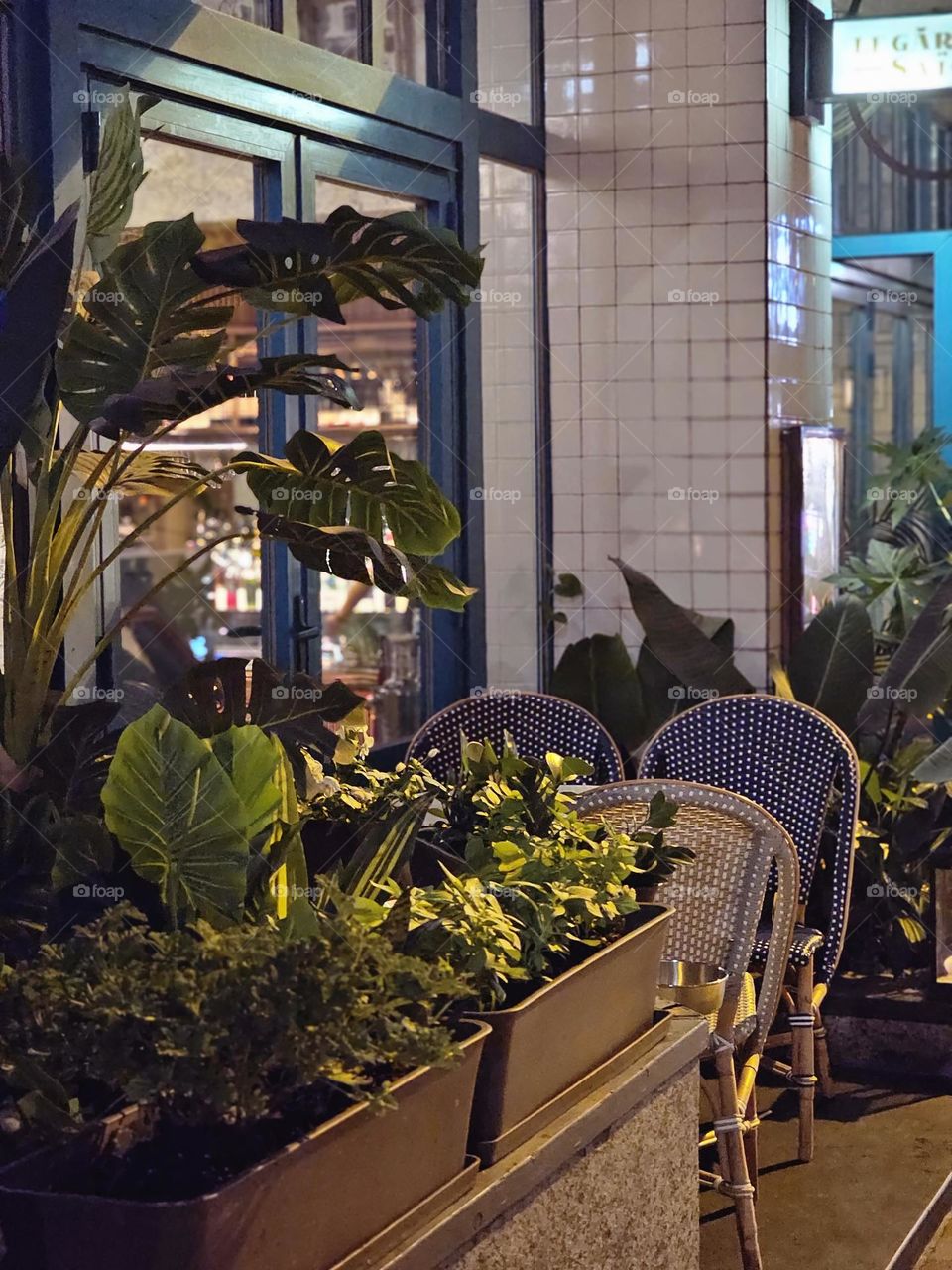 Urban plants, big and small, surrounding the outdoor seating of a restaurant