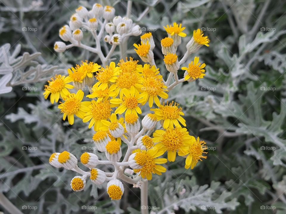 some things never lose their shine