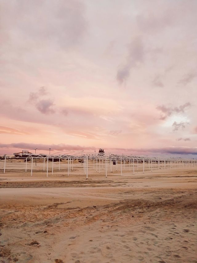 Pink vanilla sunset on the sand winter beach