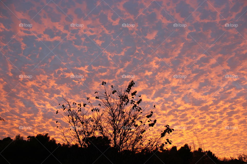 Colourful sunset