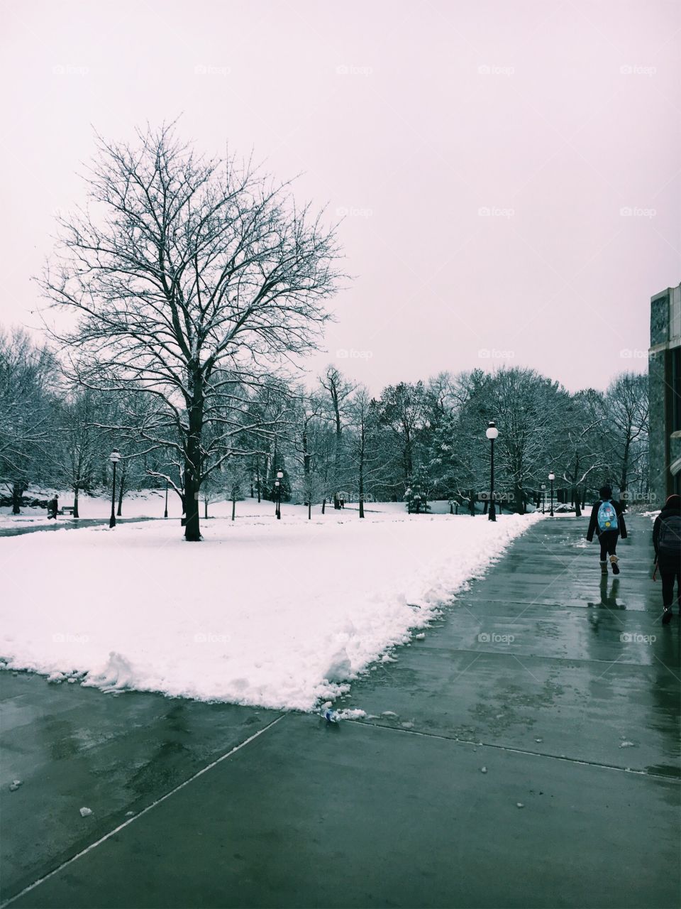 Campus strolls in the snow