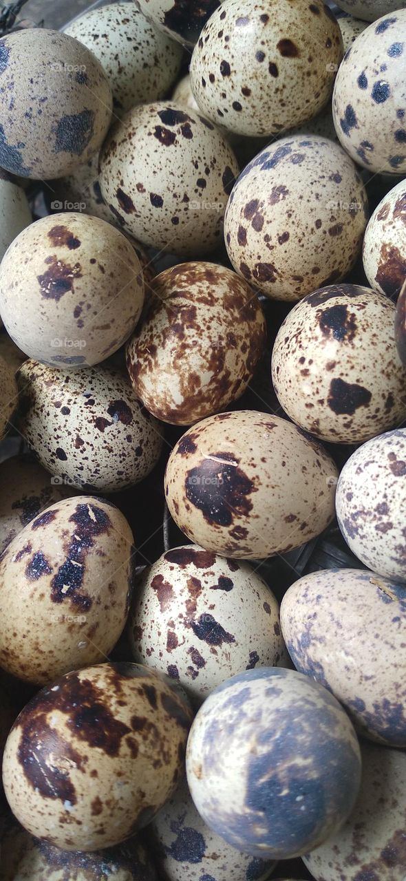 Pile of quail eggs ready to cook.