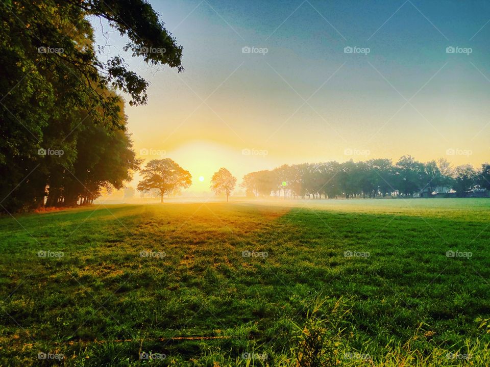 Golden Countryside sunrise landscape 