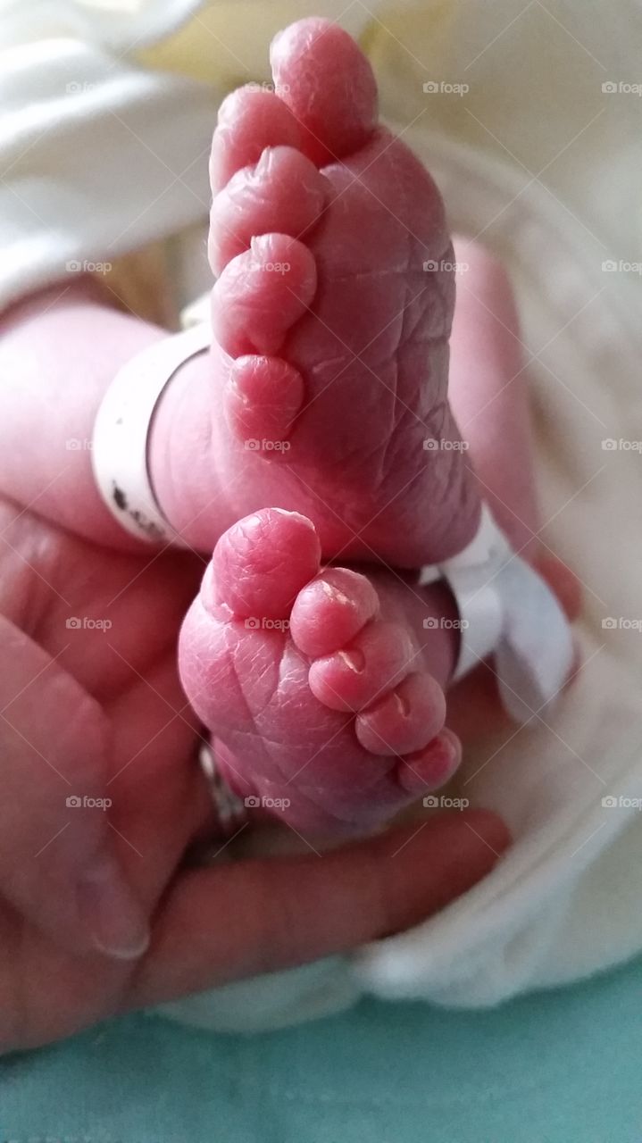 newborn feet. innocent newborn baby feet. my son while at the hospital after birth