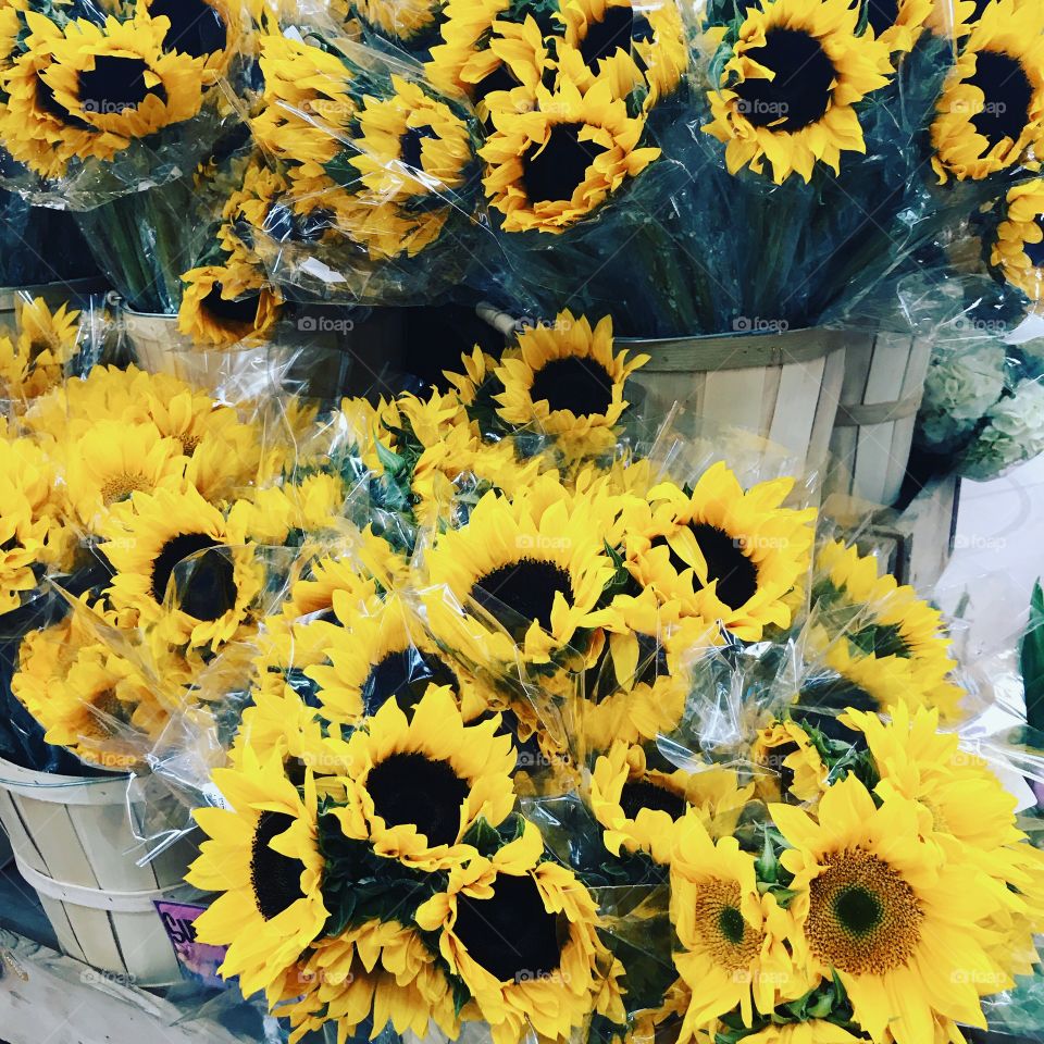 Sunflowers in Baskets