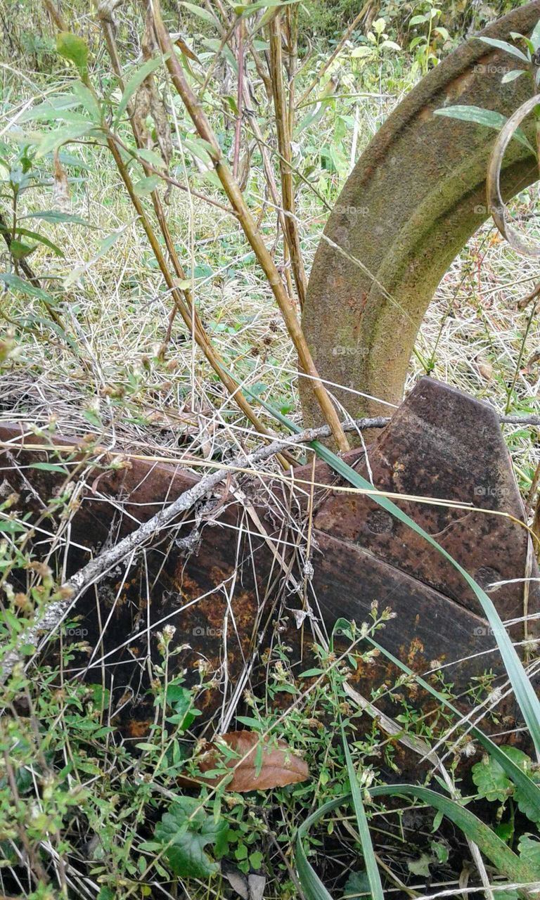 Old Farming Equip.