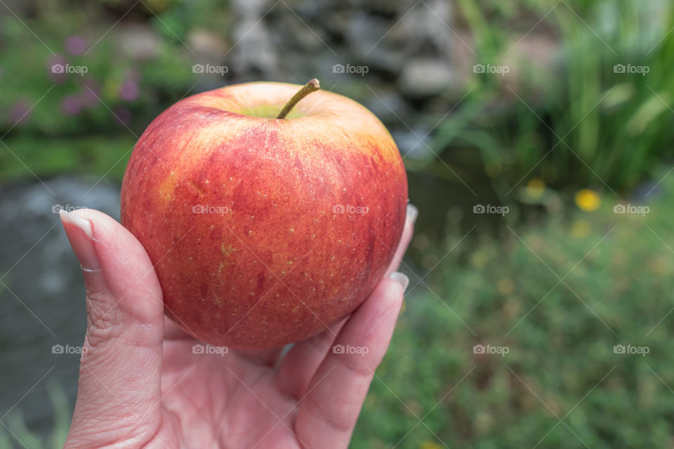 Human hand holding an apple outdoors in front of a fish pond.