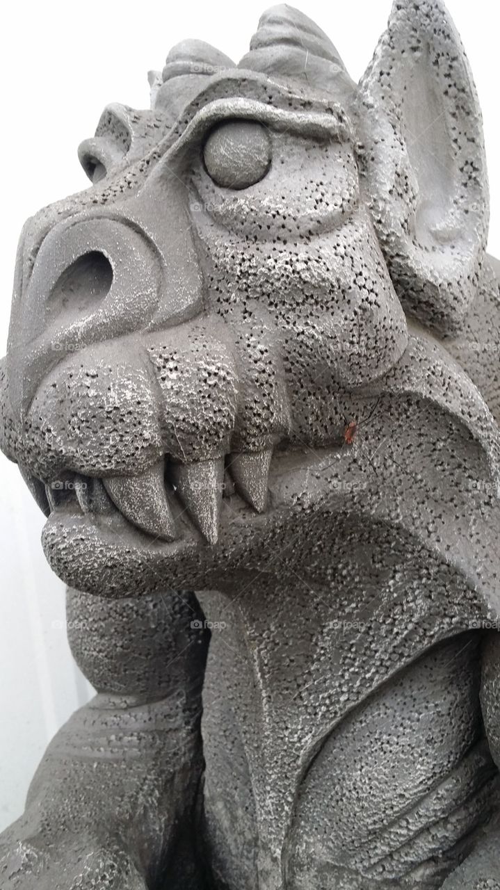 gargoyle 