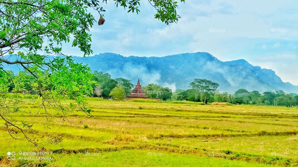 temple in Sri Lanka
